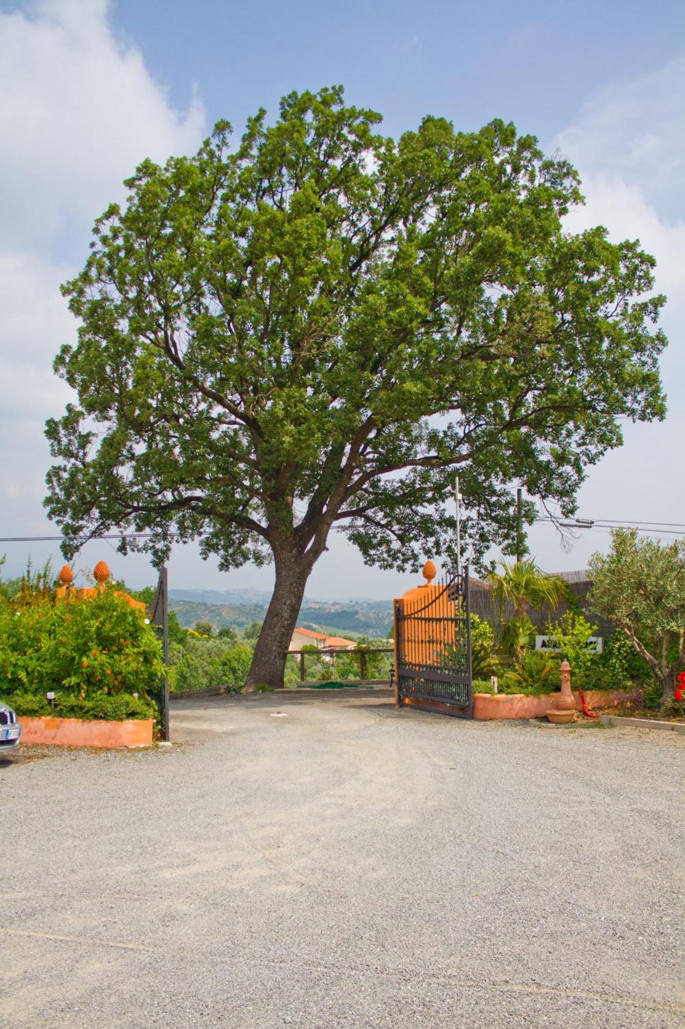 Albergo Arinde Rende Exterior photo